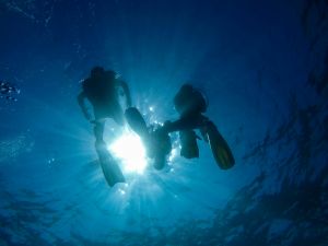 Kusadasi Scuba Diving for Beginners with Lunch and Transfer